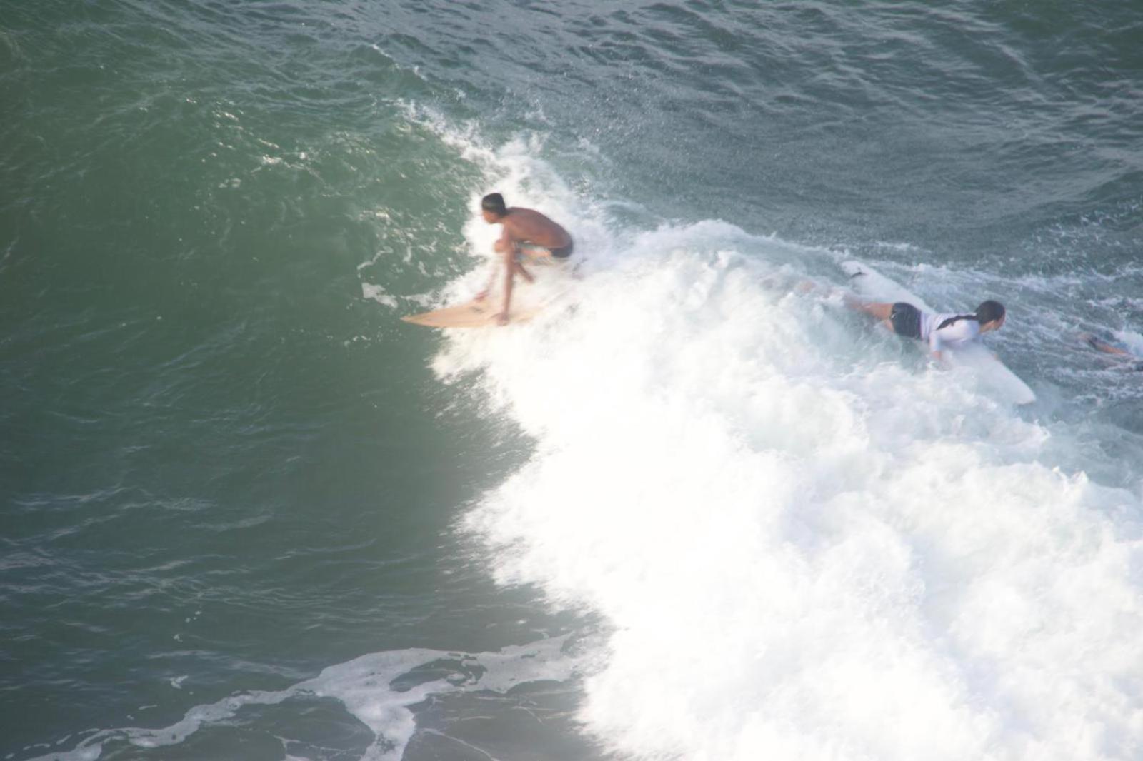 Surfing Lion Hostel Vịnh Arugam Ngoại thất bức ảnh