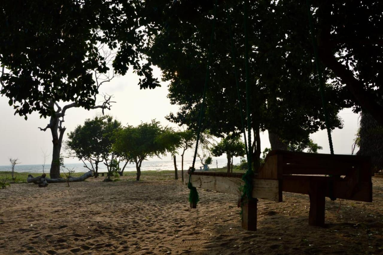 Surfing Lion Hostel Vịnh Arugam Ngoại thất bức ảnh