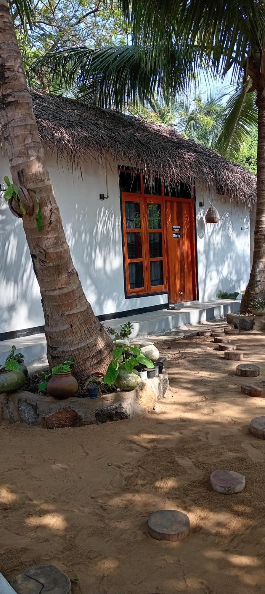 Surfing Lion Hostel Vịnh Arugam Ngoại thất bức ảnh