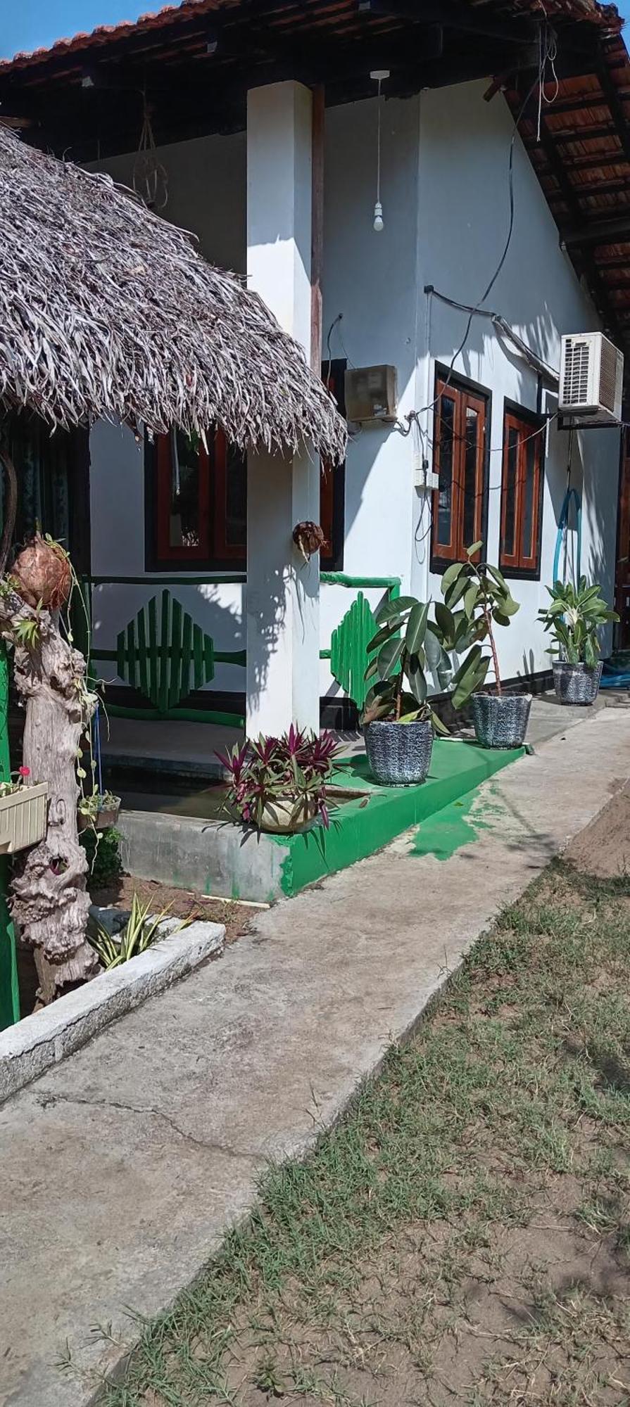 Surfing Lion Hostel Vịnh Arugam Ngoại thất bức ảnh
