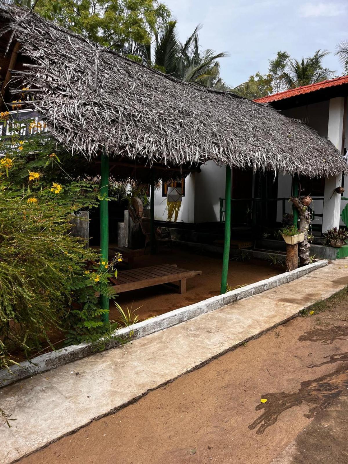 Surfing Lion Hostel Vịnh Arugam Ngoại thất bức ảnh