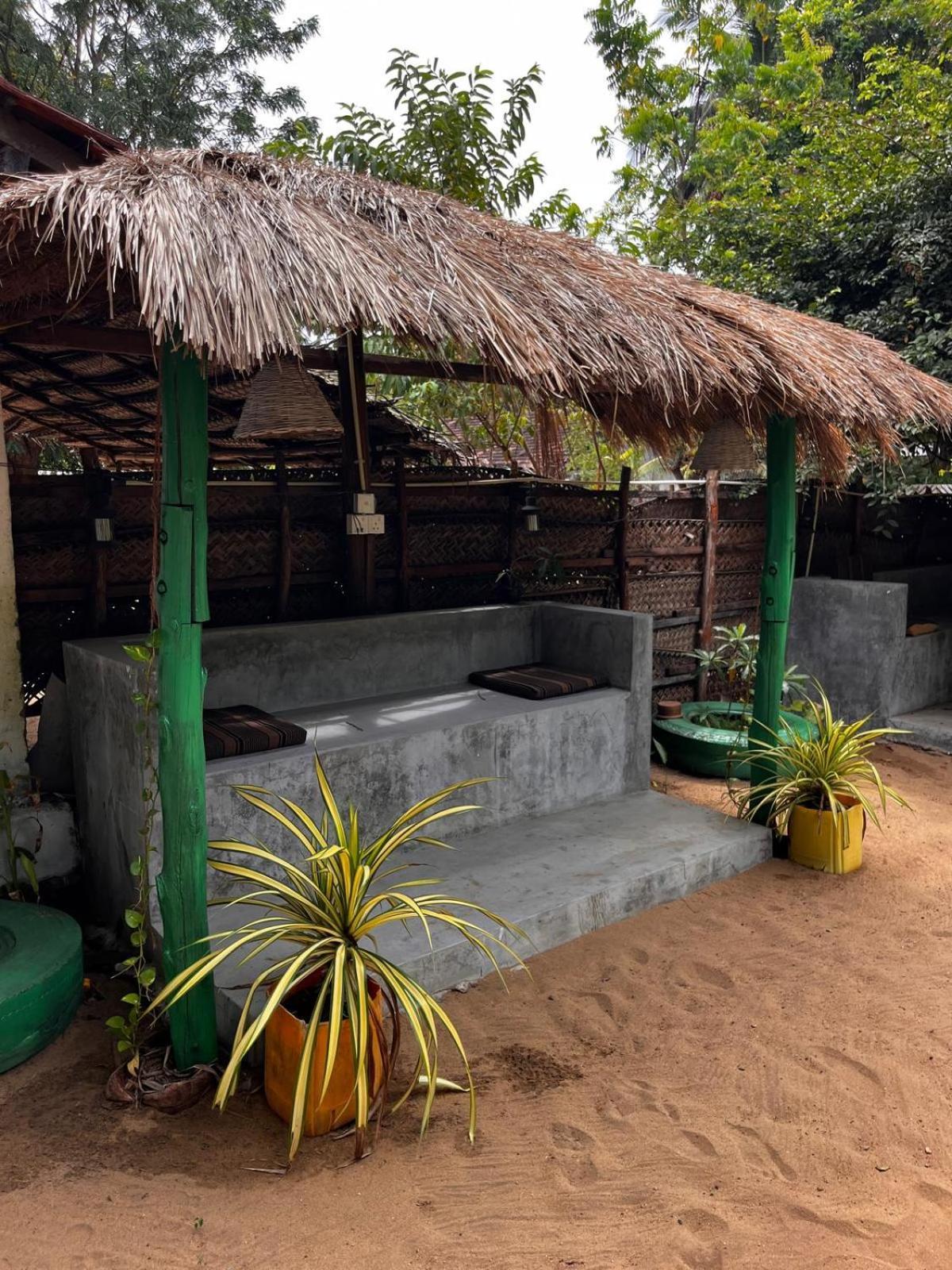 Surfing Lion Hostel Vịnh Arugam Ngoại thất bức ảnh