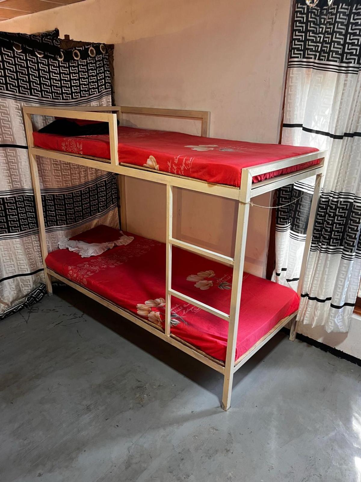 Surfing Lion Hostel Vịnh Arugam Ngoại thất bức ảnh
