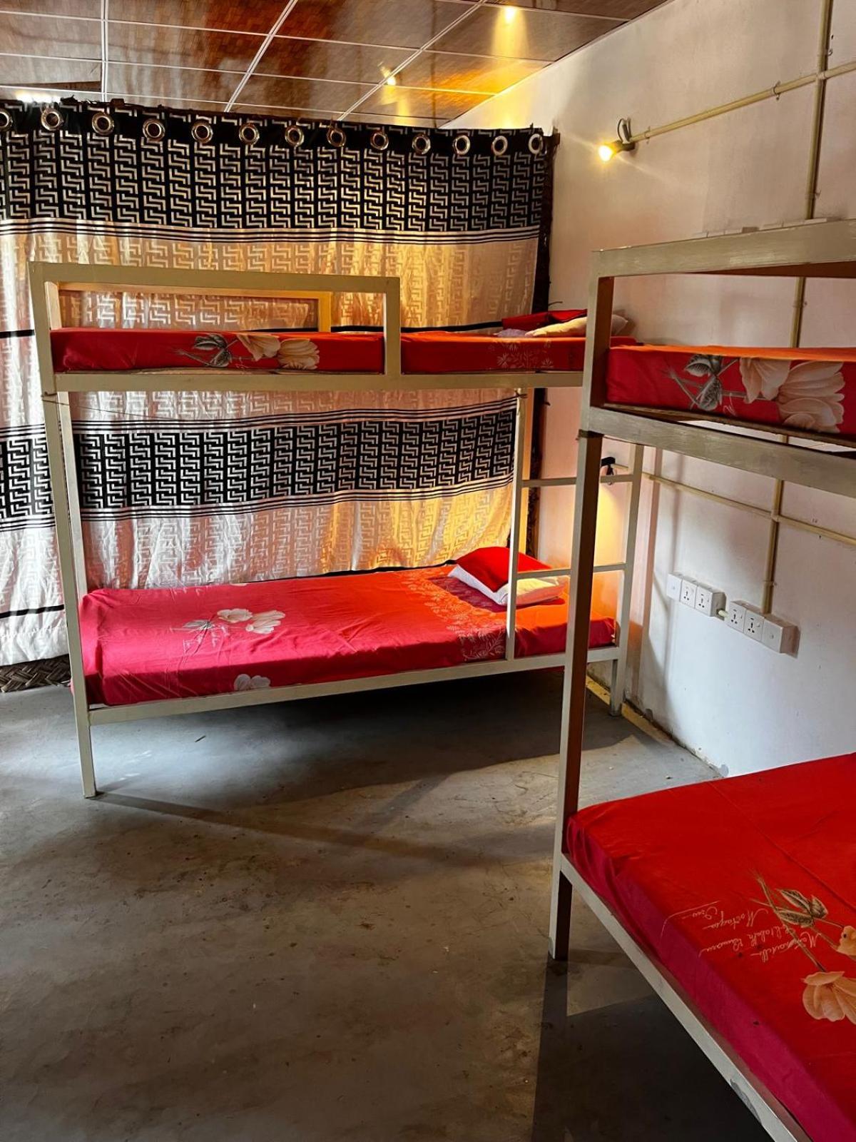 Surfing Lion Hostel Vịnh Arugam Ngoại thất bức ảnh