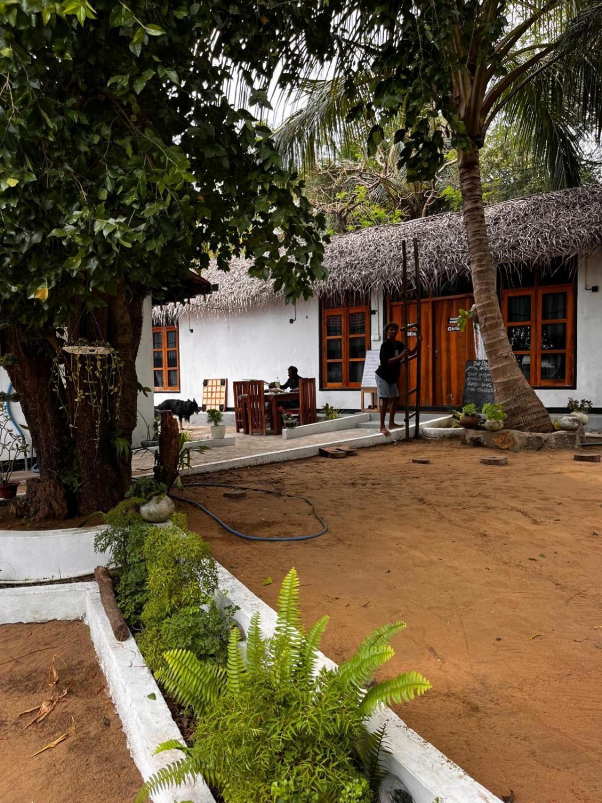 Surfing Lion Hostel Vịnh Arugam Ngoại thất bức ảnh