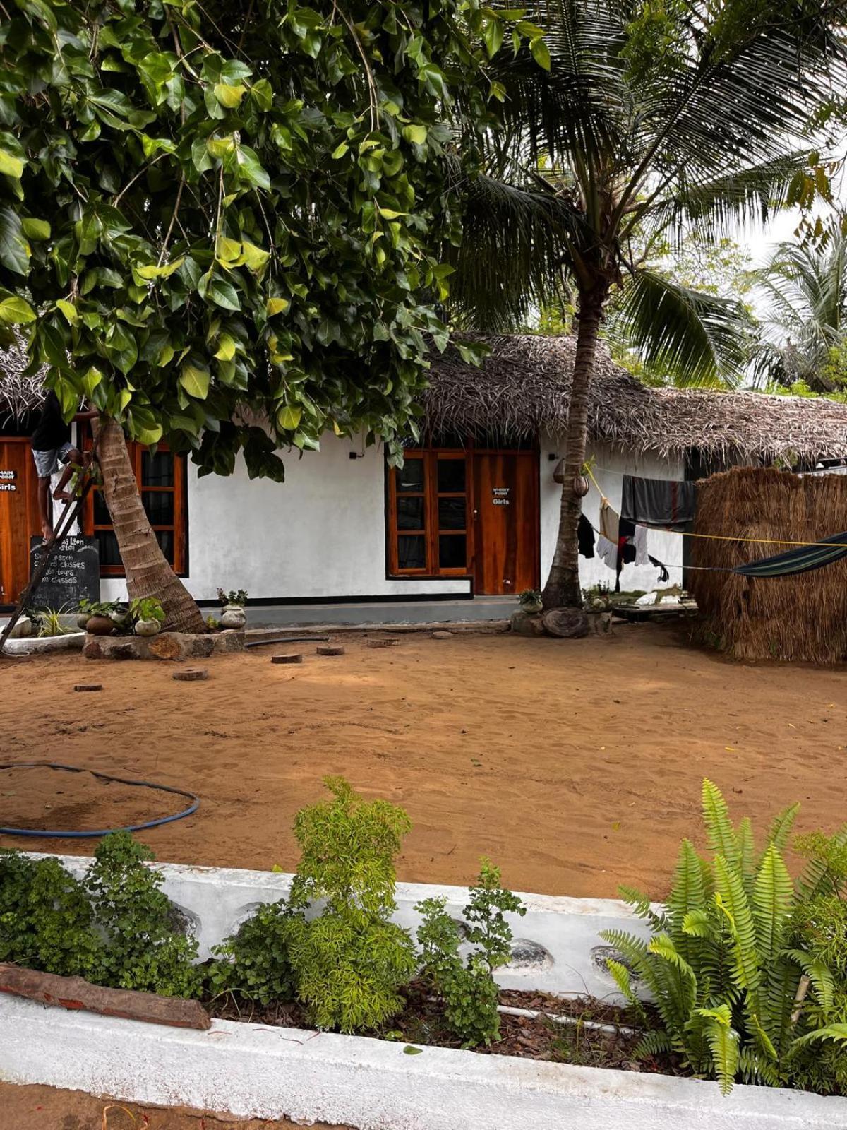 Surfing Lion Hostel Vịnh Arugam Ngoại thất bức ảnh