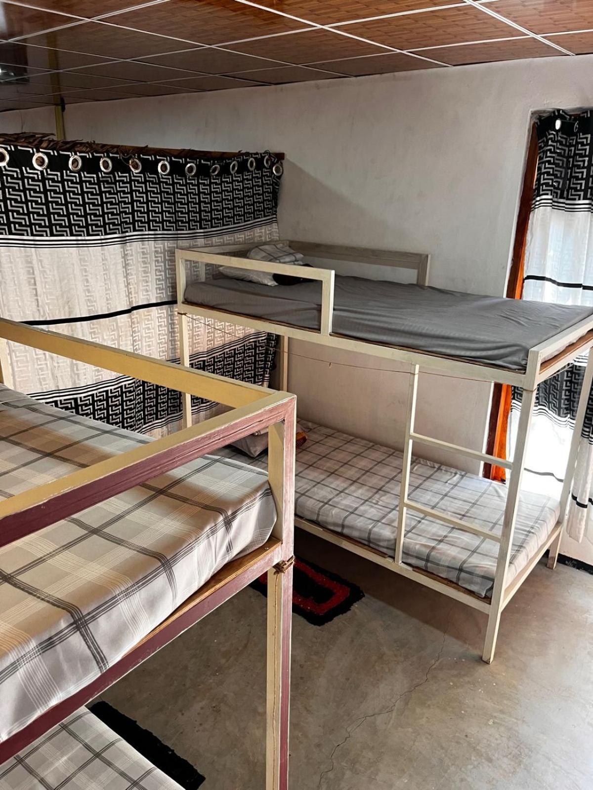 Surfing Lion Hostel Vịnh Arugam Ngoại thất bức ảnh