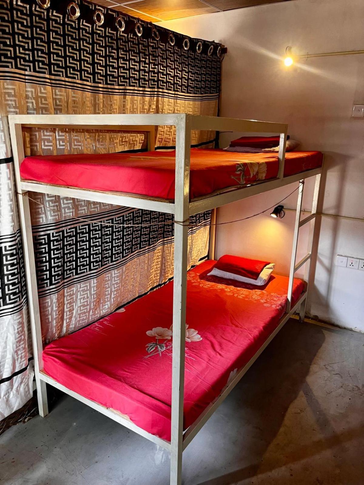 Surfing Lion Hostel Vịnh Arugam Ngoại thất bức ảnh