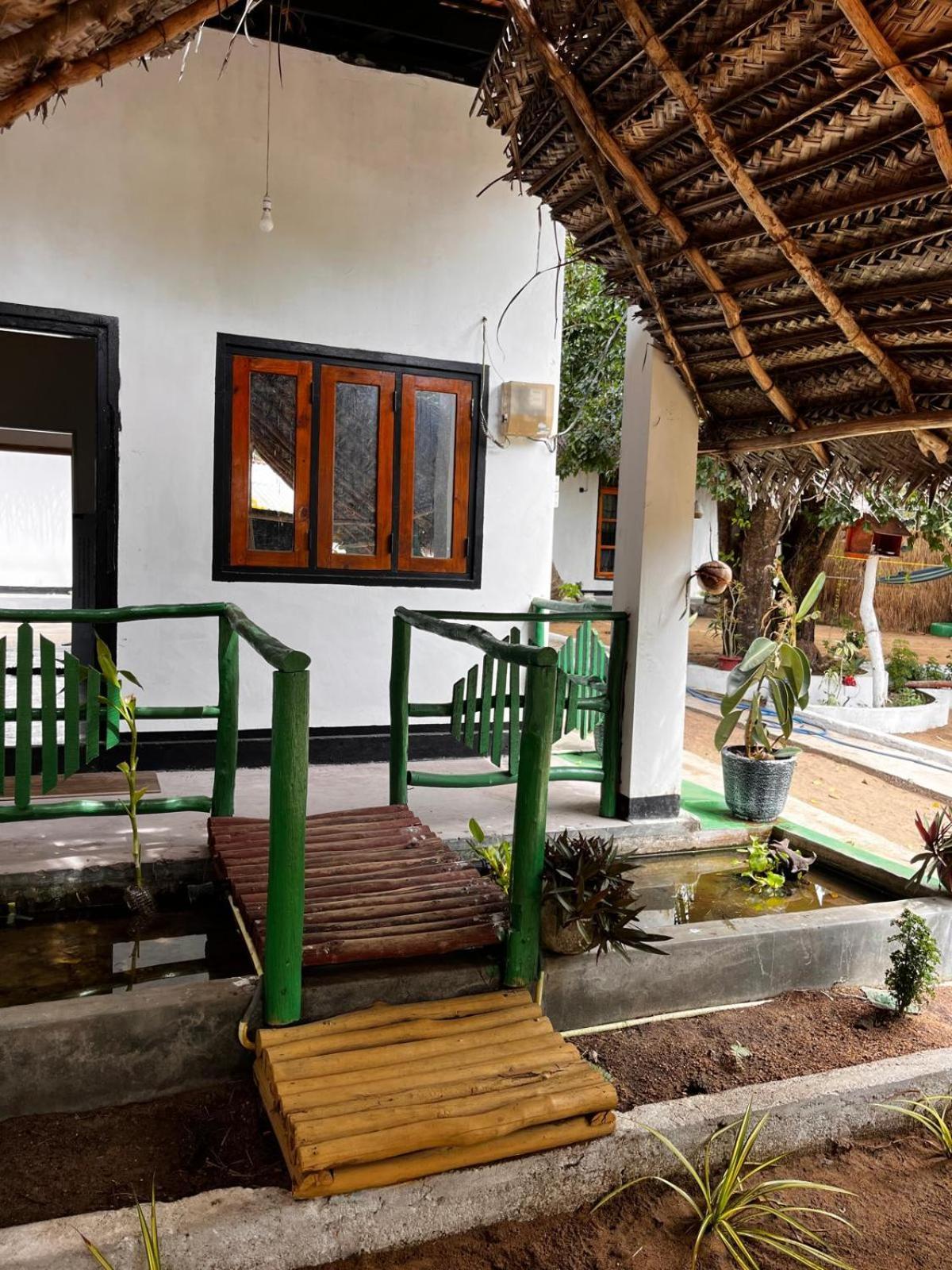 Surfing Lion Hostel Vịnh Arugam Ngoại thất bức ảnh