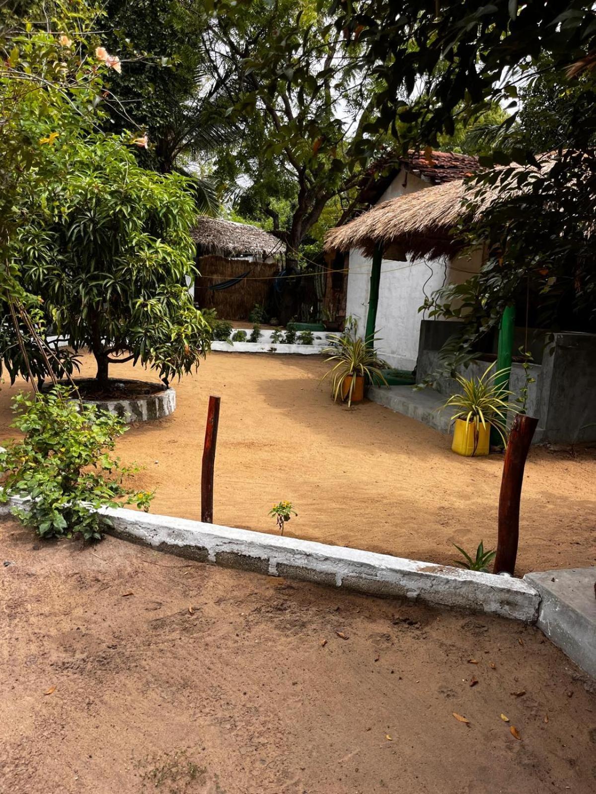 Surfing Lion Hostel Vịnh Arugam Ngoại thất bức ảnh