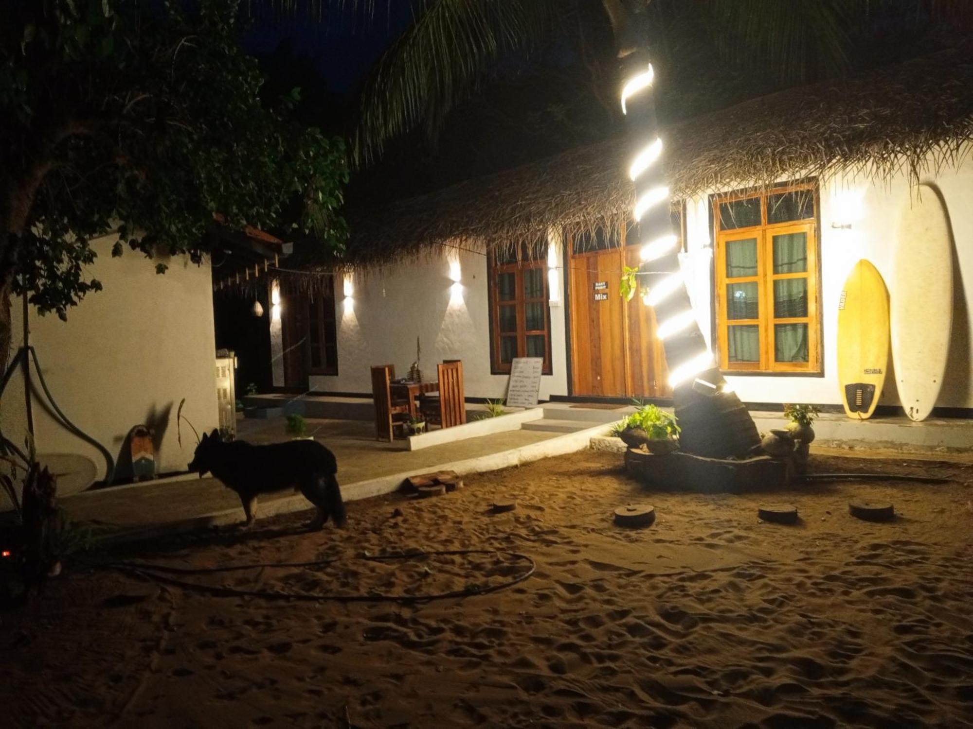 Surfing Lion Hostel Vịnh Arugam Ngoại thất bức ảnh