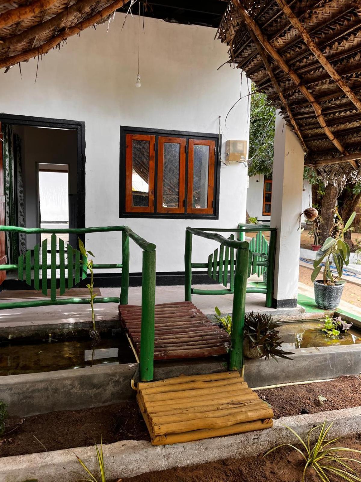 Surfing Lion Hostel Vịnh Arugam Ngoại thất bức ảnh