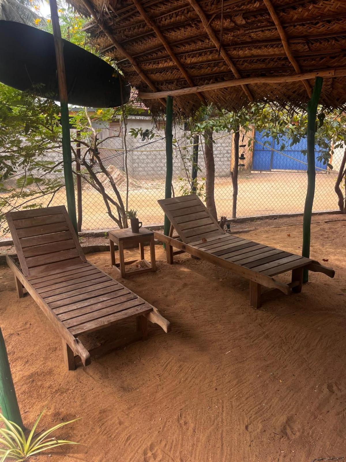 Surfing Lion Hostel Vịnh Arugam Ngoại thất bức ảnh
