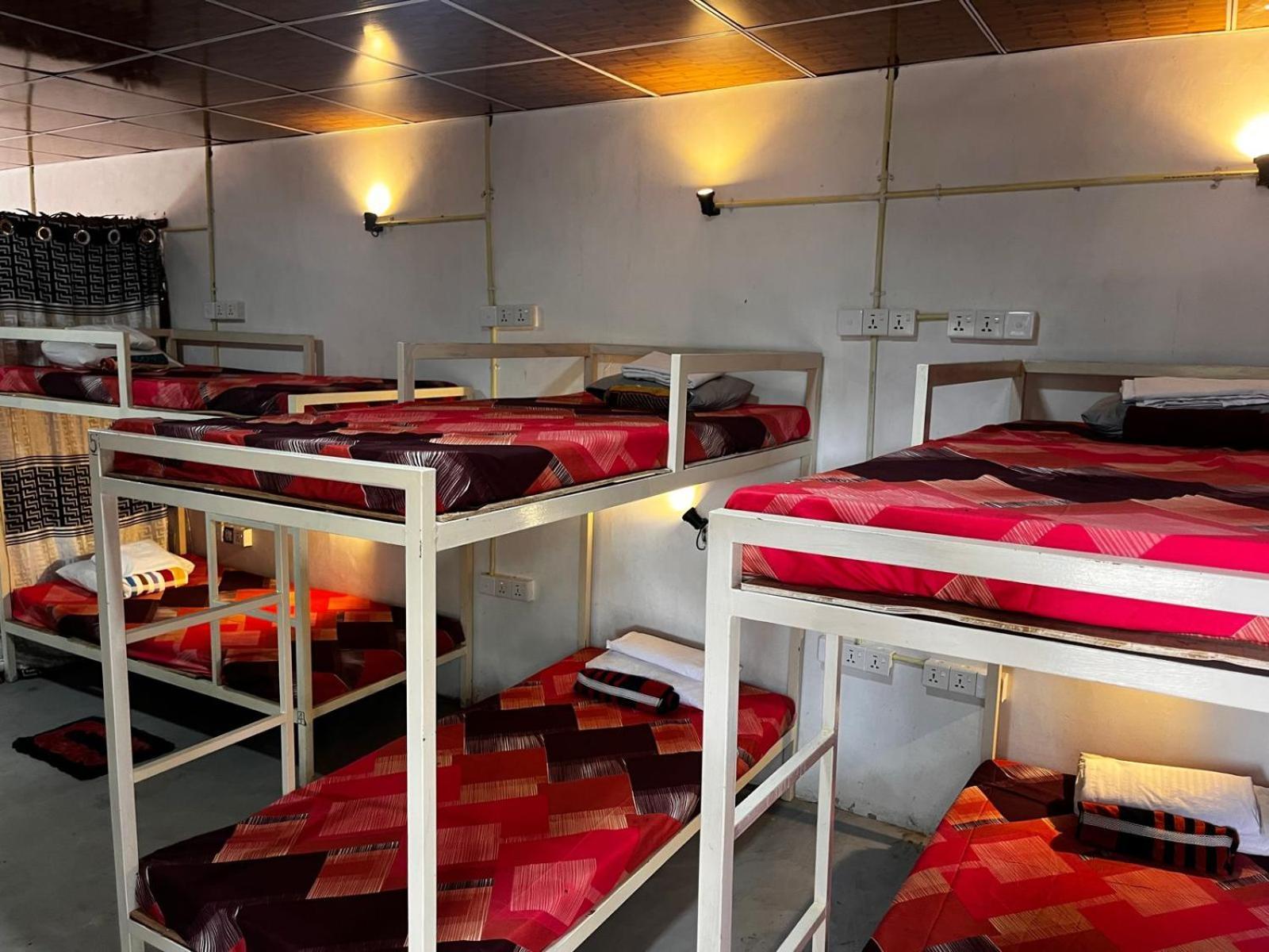 Surfing Lion Hostel Vịnh Arugam Ngoại thất bức ảnh