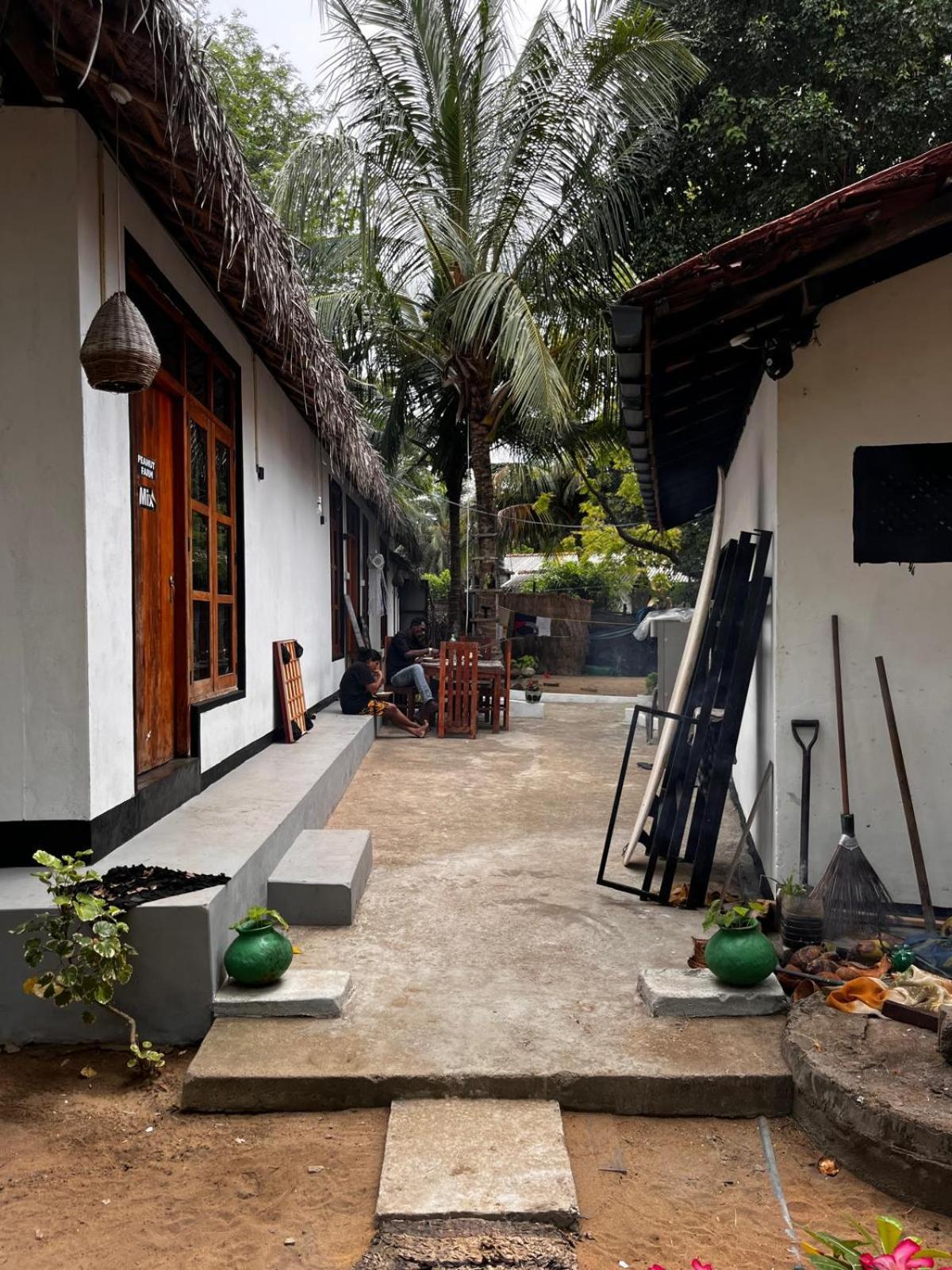 Surfing Lion Hostel Vịnh Arugam Ngoại thất bức ảnh