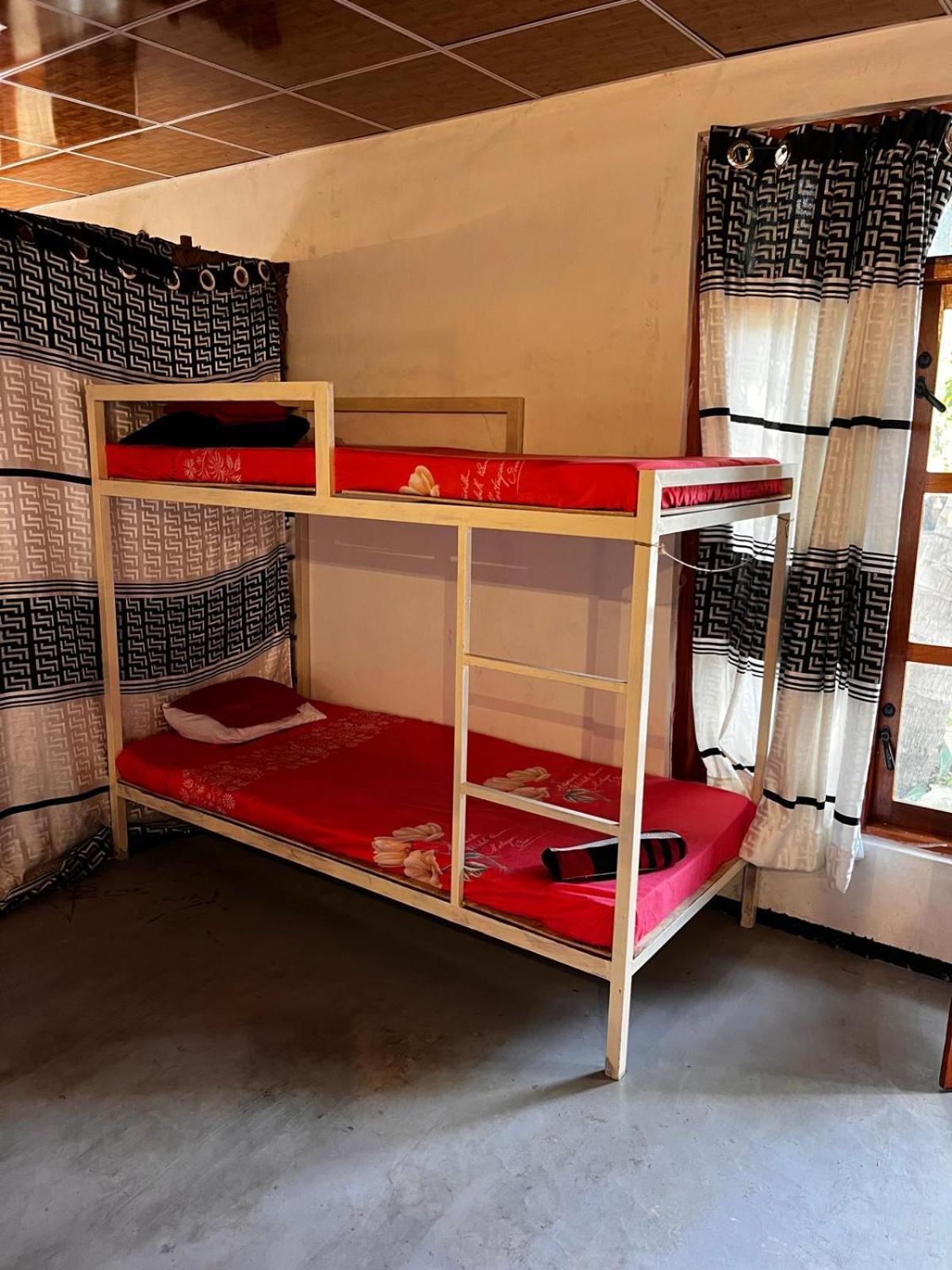 Surfing Lion Hostel Vịnh Arugam Ngoại thất bức ảnh