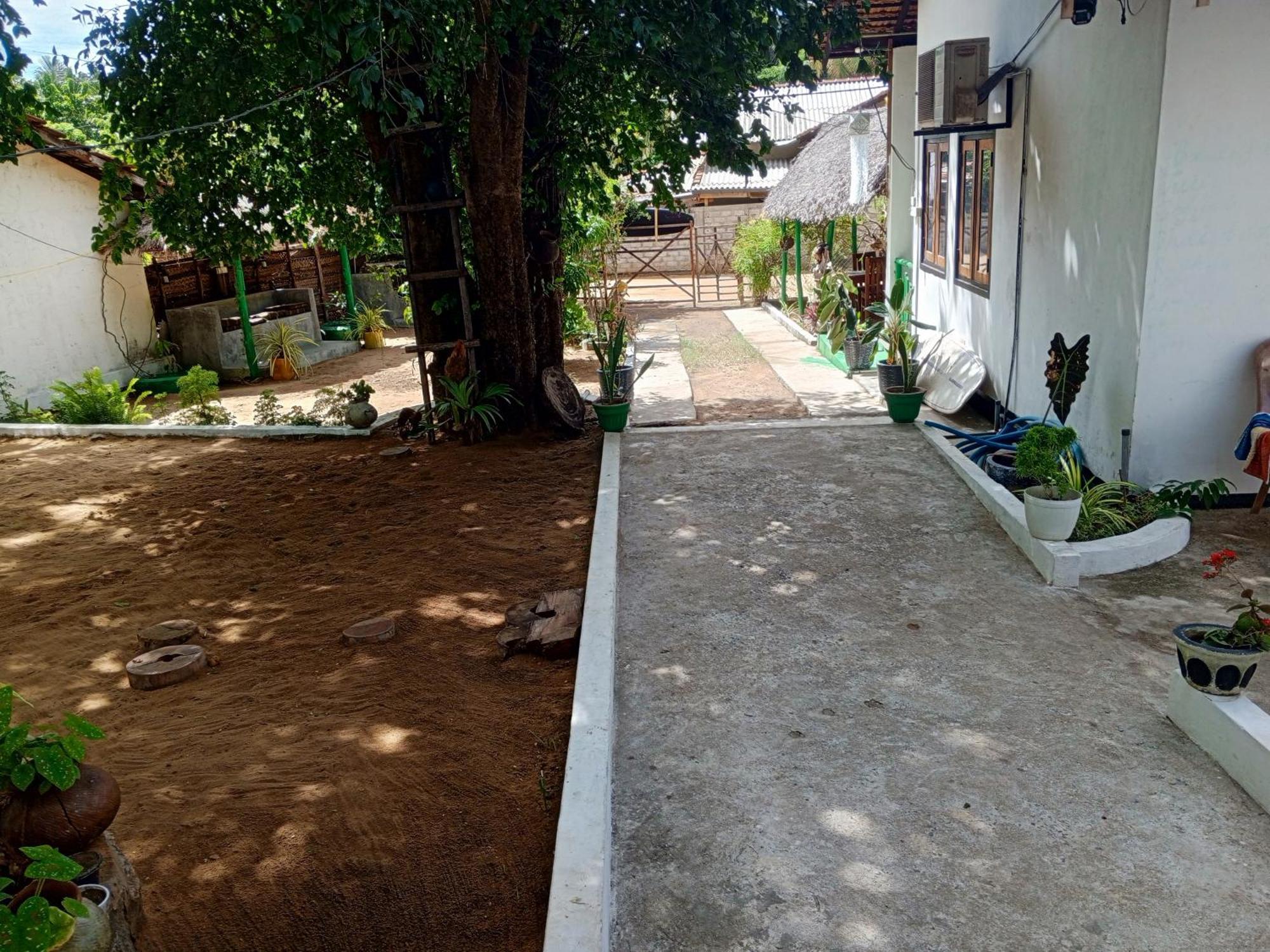 Surfing Lion Hostel Vịnh Arugam Ngoại thất bức ảnh