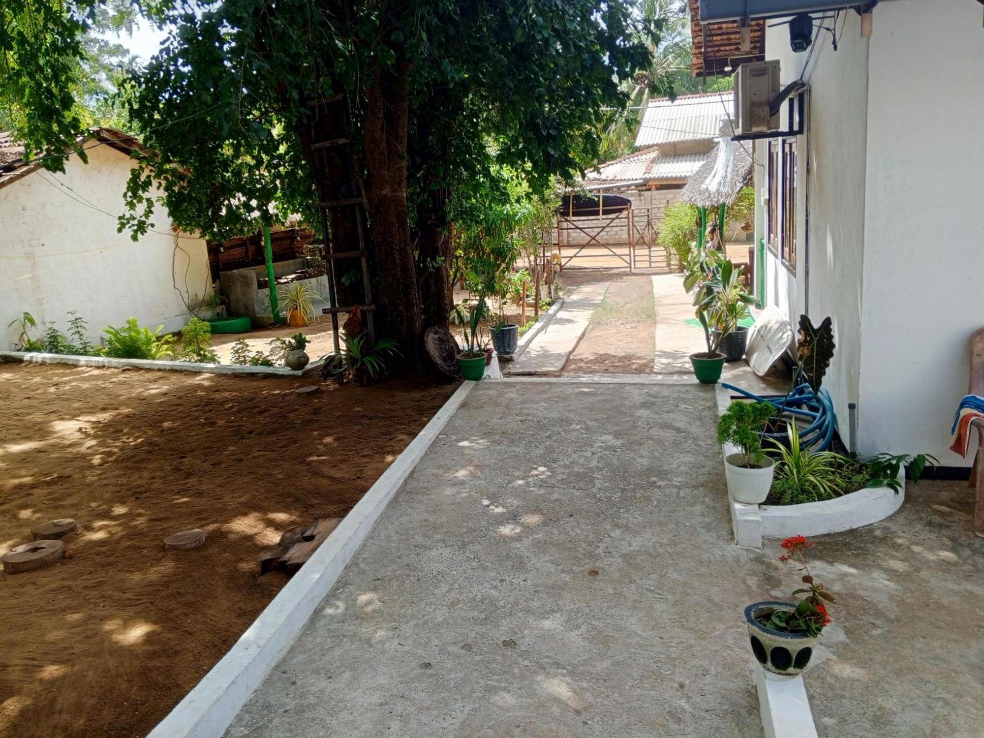 Surfing Lion Hostel Vịnh Arugam Ngoại thất bức ảnh