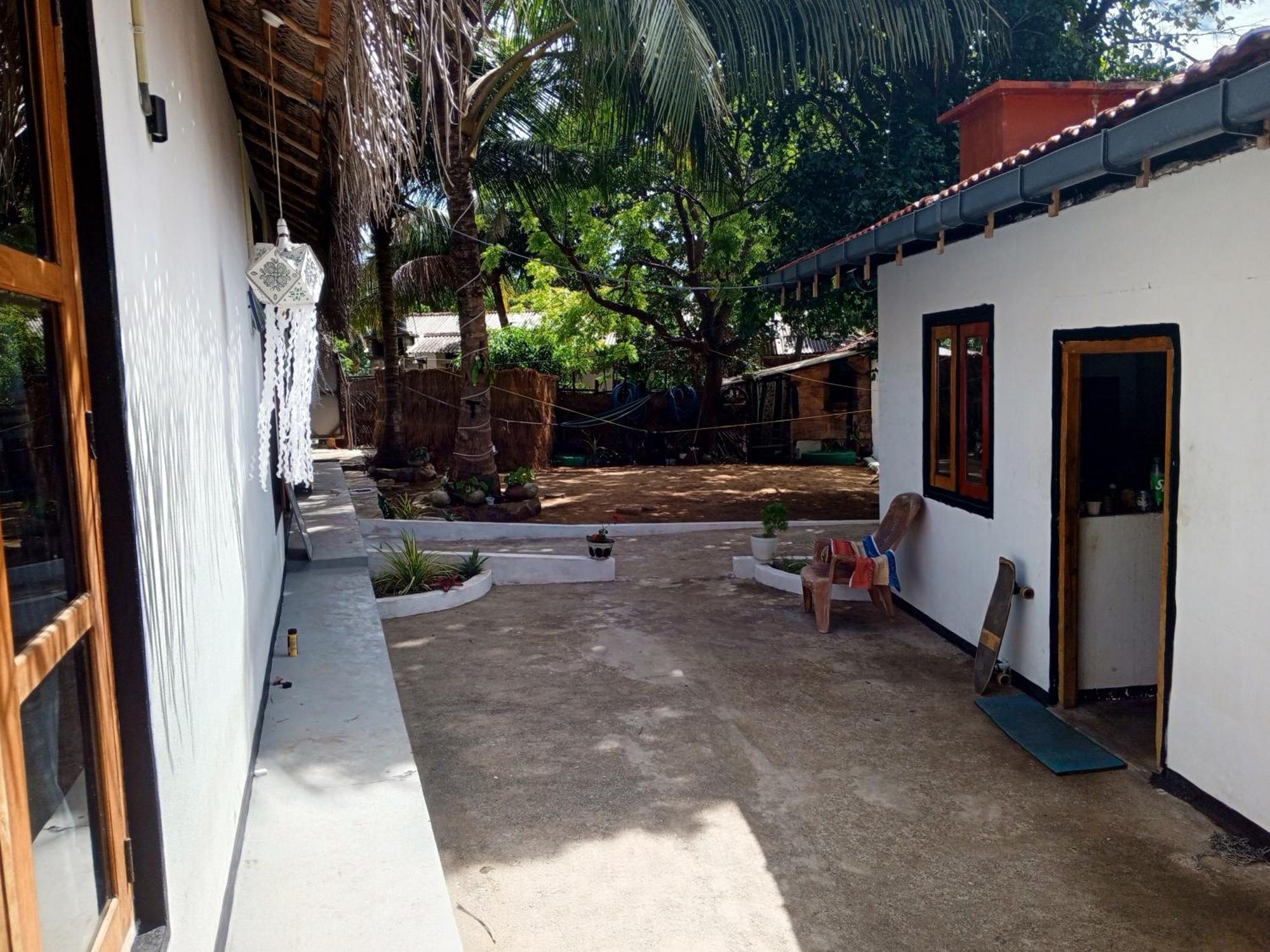Surfing Lion Hostel Vịnh Arugam Ngoại thất bức ảnh