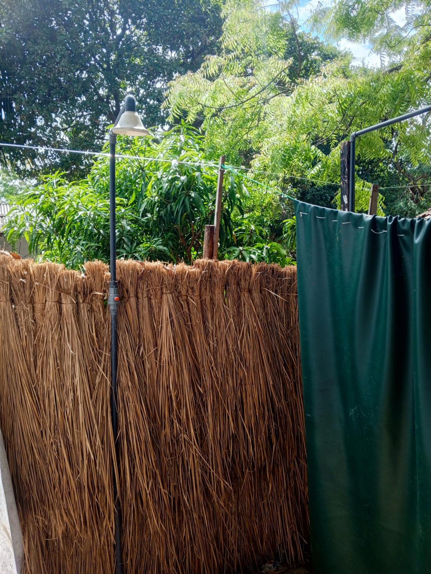 Surfing Lion Hostel Vịnh Arugam Ngoại thất bức ảnh